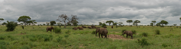 Land of Elephants