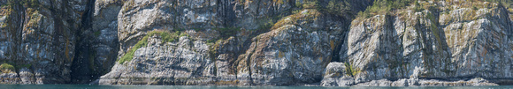 Kittiwake Cliff
