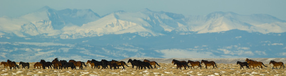 Mountains and Mustangs